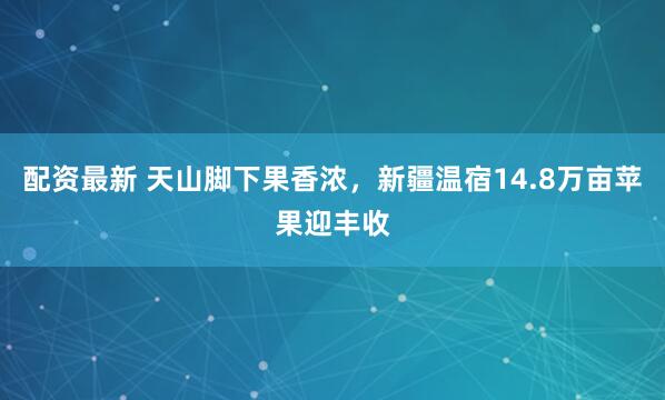 配资最新 天山脚下果香浓，新疆温宿14.8万亩苹果迎丰收