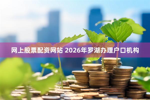 网上股票配资网站 2026年罗湖办理户口机构